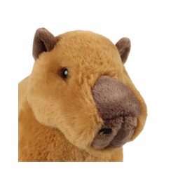 30cm Capybara Plush Toy for Kids