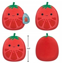 Squishmallows Tomato Ritter Plush Toy 19 cm