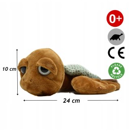 Suki Jules Turtle Medium Plush Toy