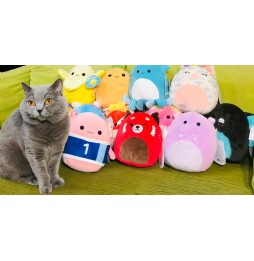Squishmallows Jagodowy Pancake Paden 19 cm