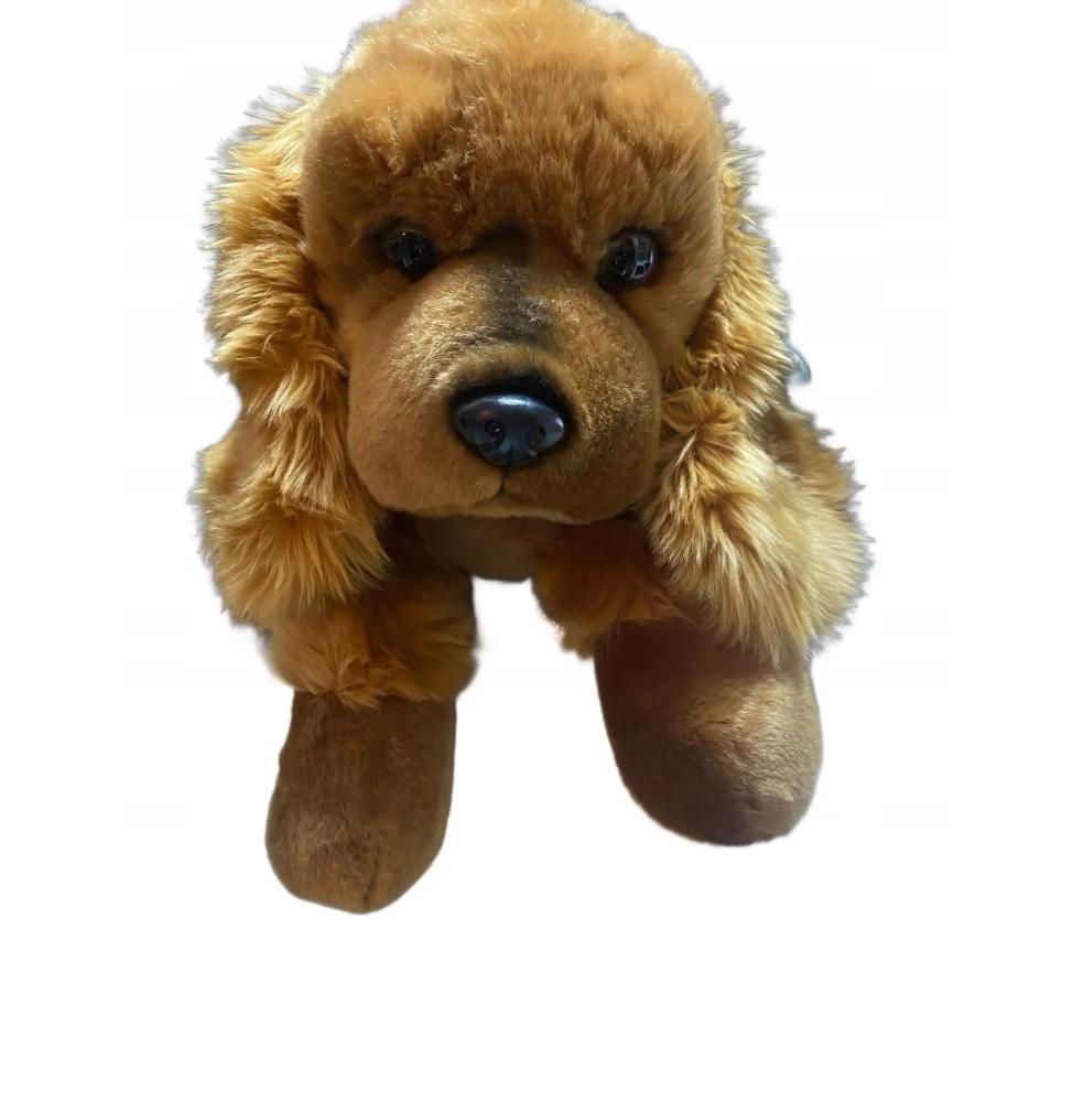 Plush Spaniel Dog 62 cm for Kids