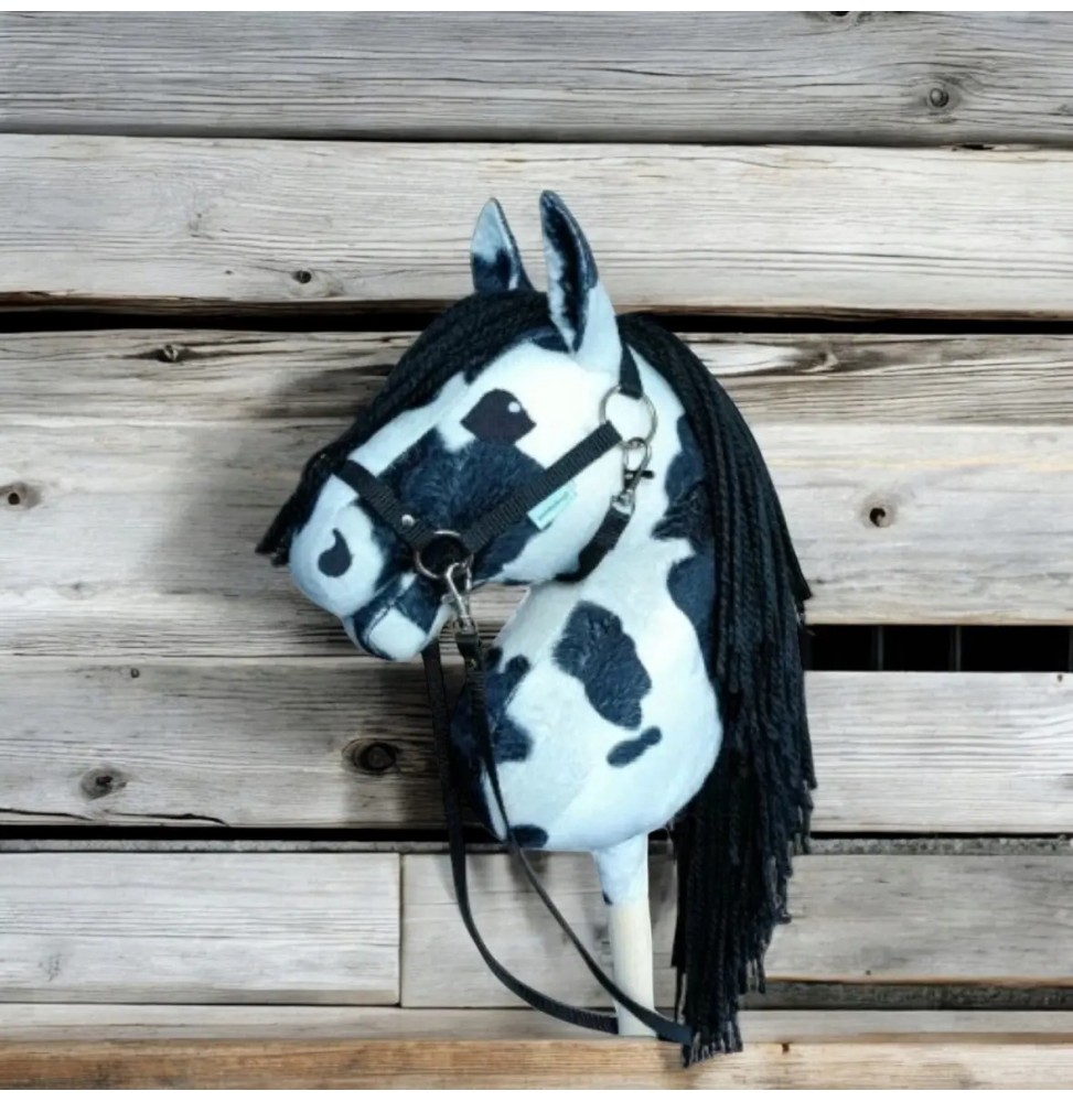 Cai Hobby Horse A4 pe băț cu accesorii