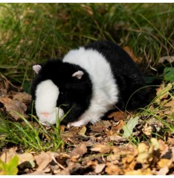 Black and White Guinea Pig Plush Toy