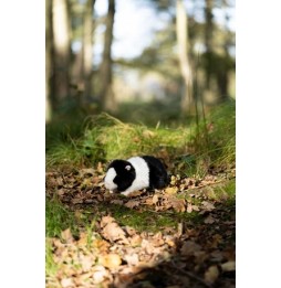 Black and White Guinea Pig Plush Toy