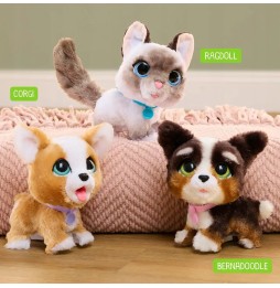 Interactive furReal Kitten for Kids