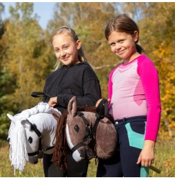 Cal hobby horse castaniu A3 cu zgardă