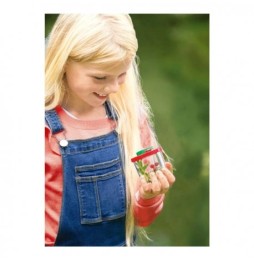 Insect Observation Container with Magnifier and Spider