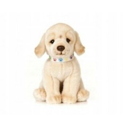 Labrador Golden Puppy Plush Toy 30 cm