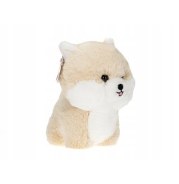 Teddy Pets Pomeranian Plush for Girls