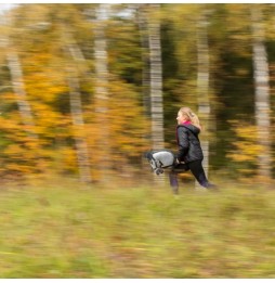 Hobby Horse Skippi - Duży koń A3 z kantarem