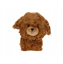 Pluszak Teddy Pets dla chłopca 25 cm