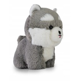 Teddy Pets Husky maskotka przytulanka