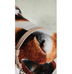 A4 Hobby Horse Błysk Srokaty na Kiju