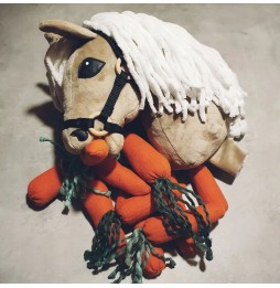 Carrot Set for Hobby Horse