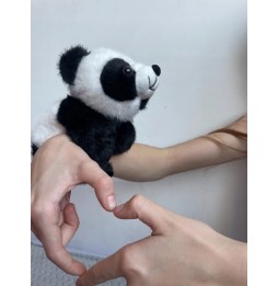 Plush Panda with Wristband