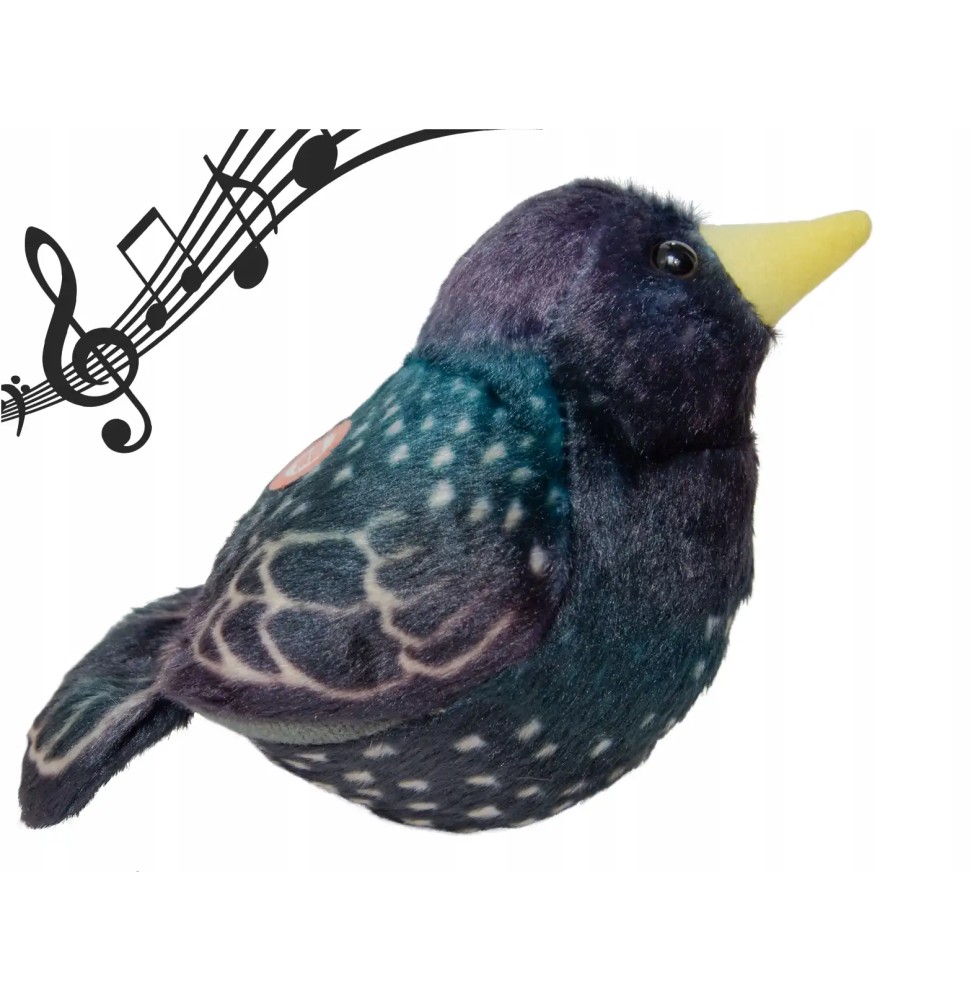 Bird with Sound, Plush Educational Toy