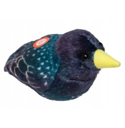 Bird with Sound, Plush Educational Toy