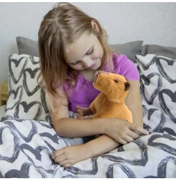 Pluszak Kapibara 30 cm - Miękka Maskotka