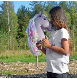 Pegaz Club Hobby Horse A3 Gniady