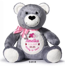 Teddy Bear with Name and Birth Certificate