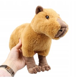 Pluszak Kapibara 30 cm - Miękka Maskotka