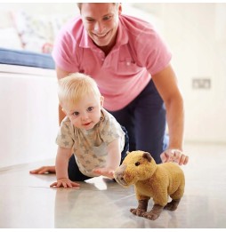 Capybara Plush Toy 30cm for Kids