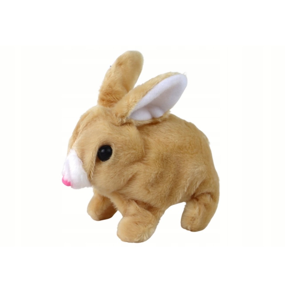 Interactive Plush Rabbit with Sound