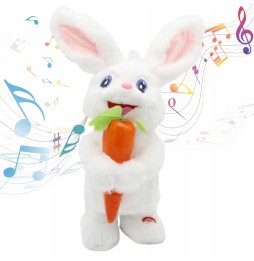 Interactive Rabbit with Carrot