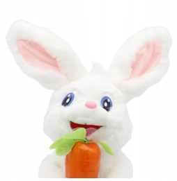 Interactive Rabbit with Carrot