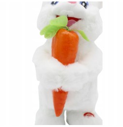 Interactive Rabbit with Carrot