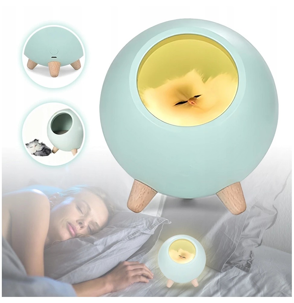 Sleeping Cat Night Light - Birthday Gift