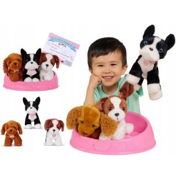 Set Pucci Pups de Câini Pufoși