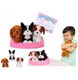 Set Pucci Pups de Câini Pufoși