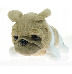 Plush Bulldog Cuddly Toy 25 cm