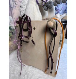 Hobby Horse Stable Organizer for Horses