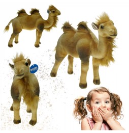 Camel Plush Toy 40cm from DUBI