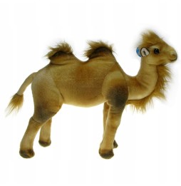 Camel Plush Toy 40cm from DUBI