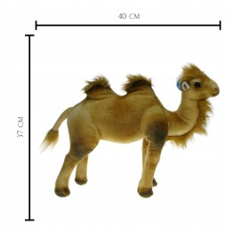 Camel Plush Toy 40cm from DUBI