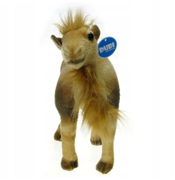 Camel Plush Toy 40cm from DUBI