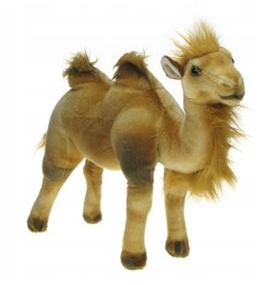 Camel Plush Toy 40cm from DUBI