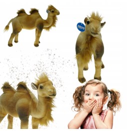 Camel Plush Toy 40cm from DUBI