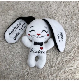 Personalized Plush Bunny for Newborns