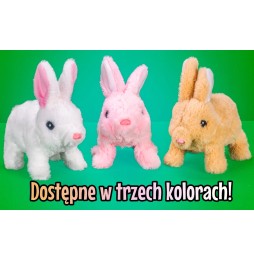 Interaktywny królik PlushPet dla dzieci