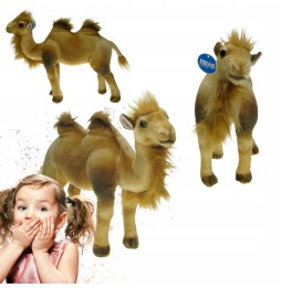 Camel Plush Toy 40cm from DUBI