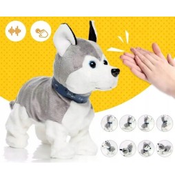 Interactive Husky Puppy with Sound