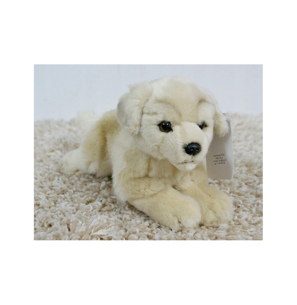 Maskotka pies labrador leżący 35cm Uni-Toys