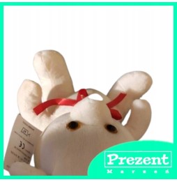 White Plush Bear 27cm - Soft Gift