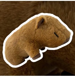 Large Capybara Plush Toy with Music