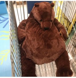 IKEA Djungelskog Miś Pluszowy 40-100 cm