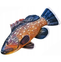 Gaby Fish Pillow 100 cm